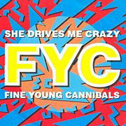 Fine Young Cannibals - She drives me crazy 01