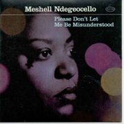 Meshell Ndegeocello - Please don't let me be misunderstood 01