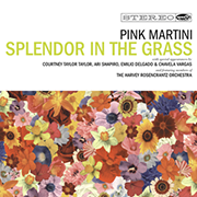 Pink Martini · Splendor in the grass 1