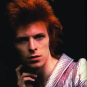 bowiefoto