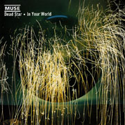 Muse - Can't Take My Eyes Off You