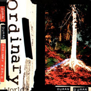 Duran Duran - Ordinary World_cover