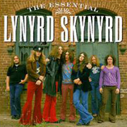Lynyrd Skynyrd - Heartbreak Hotel 2
