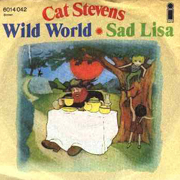 Cat Stevens - Wild world 01